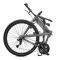   TERN JOE D24 26\'\' / (L)