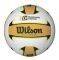 ����� BEACH VOLLEY CHAMPIONSHIP WILSON GAME B...