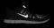  NIKE FREE 5.0+ SHIELD / (USA:12, EU:46)