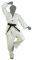  TAEKWONDO RAMOS 