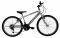  LEADER WILD CAT (SUN RUN) 24'' 