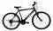  LEADER WILD CAT (SUN RUN) 26'' 