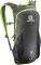 ������ ������ SALOMON TRAIL 10 ����/�������