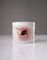   GENA HEALTHY HOOF (113G)