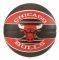  SPALDING CHICAGO BULLS / (7...