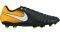 �������� NIKE TIEMPO LIGERA IV FG �����/�����...