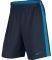 ����� NIKE DRY ACADEMY ���� ������ (M)