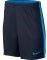 ����� NIKE DRY ACADEMY ���� ������ (M)