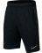 ����� NIKE BOYS DRY CR7 ACADEMY ����� (L)
