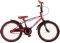  ORIENT TIGER 20'' /