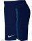  NIKE CHALLENGER 5\'\' LINED SHORTS  (S)