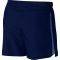  NIKE CHALLENGER 5\'\' LINED SHORTS  (S)