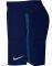  NIKE CHALLENGER 5\'\' LINED SHORTS  (L)