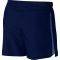  NIKE CHALLENGER 5\'\' LINED SHORTS  (L)