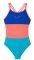  NIKE COLOR SURGE SPIDERBACK ONE-PIECE / (10)