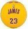  SPALDING NBA MINIATURE JERSEY BALL 23 LEBRON JAMES (SIZE 1.5)