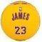  SPALDING NBA MINIATURE JERSEY BALL 2...