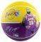  SPALDING NBA PLAYER LEBRON JAMES (7)