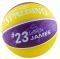  SPALDING NBA PLAYER LEBRON JAMES (7)