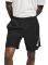  NIKE DRY RUNNING SHORTS  (L)