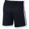  NIKE DRI-FIT ACADEMY SHORTS  (L)