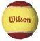  WILSON STARTER 12 BALL /