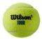  WILSON TOUR PREMIER ALL COURT 3 BALL 