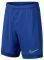  NIKE DRY ACADEMY  