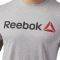 ΜΠΛΟΥΖΑ REEBOK LINEAR READ TEE ΓΚΡΙ (L) ΜΠΛΟΥΖΑ REEBOK LINEAR READ TEE ΓΚΡΙ (L)