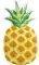   INTEX PINEAPPLE MAT