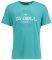 ������� ONEILL T-SHIRT �������� (L)