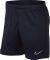  NIKE DRI-FIT ACADEMY SHORTS  