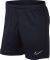  NIKE DRI-FIT ACADEMY SHORTS   (L)