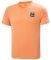  HELLY HANSEN NORD GRAPHIC HH T-SHIRT   (M)