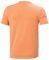  HELLY HANSEN NORD GRAPHIC HH T-SHIRT   (L)