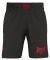  EVERLAST KASHIWA  (XL)