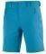  SALOMON WAYFARER SHORT  (50)
