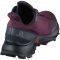  SALOMON ALPHACROSS  (UK:6, EU:39 1/3)