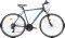  ORIENT SOLAR 28'' (21SP) VB  ...