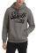  RUSSELL ATHLETIC EST ALABAMA PULLOVER HOODY  (M)