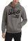  RUSSELL ATHLETIC EST ALABAMA PULLOVER HOODY  (L)