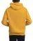  RUSSELL ATHLETIC 02 PULLOVER HOODY  (M)
