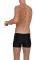  SPEEDO HEXAGONAL AQUASHORT / (34)