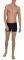  SPEEDO HEXAGONAL AQUASHORT / (34)
