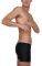  SPEEDO HEXAGONAL AQUASHORT / (34)