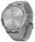  GARMIN VIVOMOVE 3 SILVER WITH POWDER GR...
