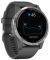  GARMIN VIVOACTIVE 4 SHADOW GRAY/SILVER