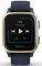  GARMIN VENU SQ MUSIC LIGHT GOLD/NAVY