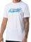  ASICS NOOSA GRAPHIC TEE 