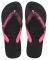  HAVAIANAS TOP BOLD / (35-36)